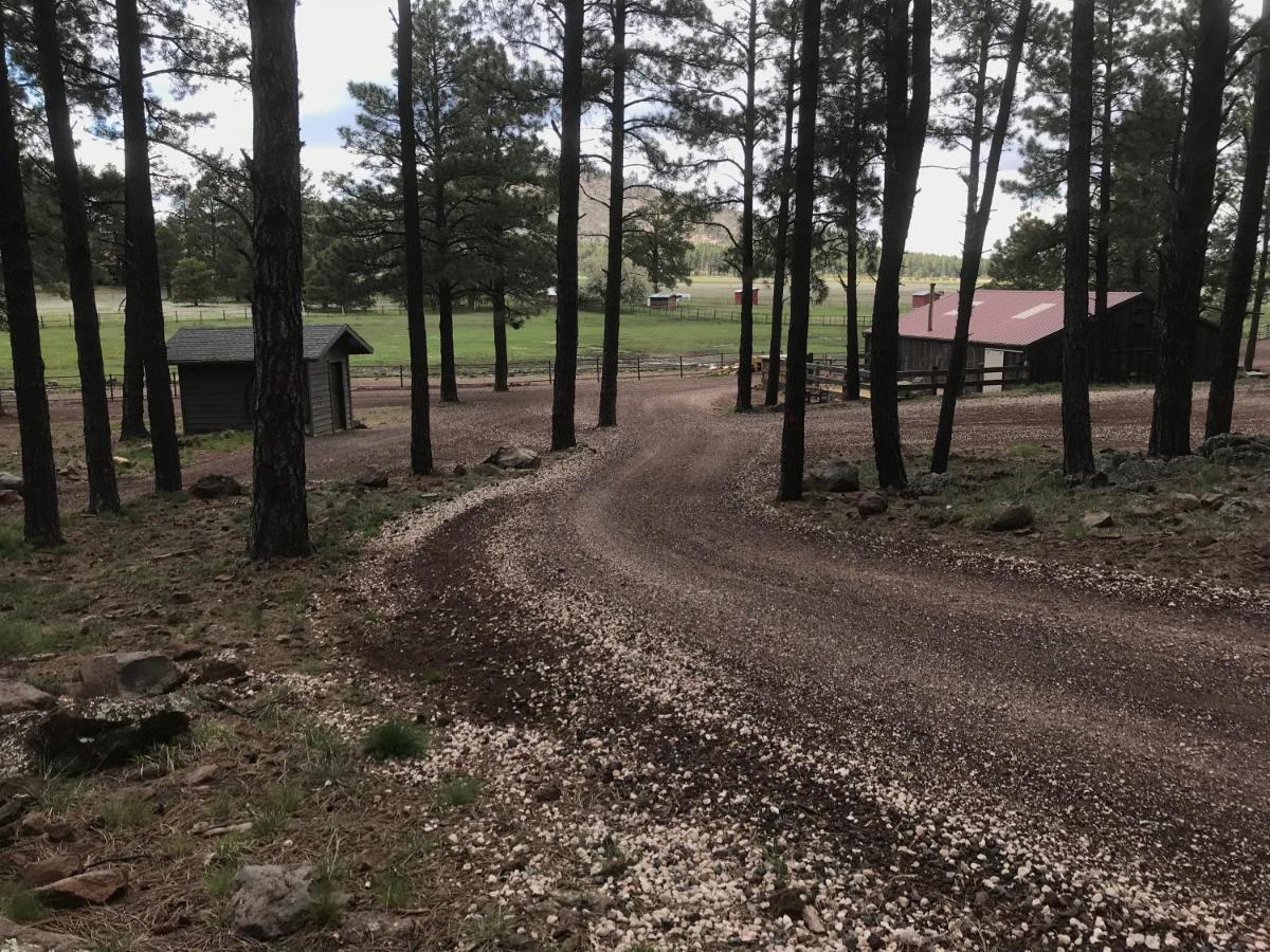 Parks Grand Canyon 1Bd Loft/Suite-Horseback Riding-Shooting-Dogs Ok! מראה חיצוני תמונה