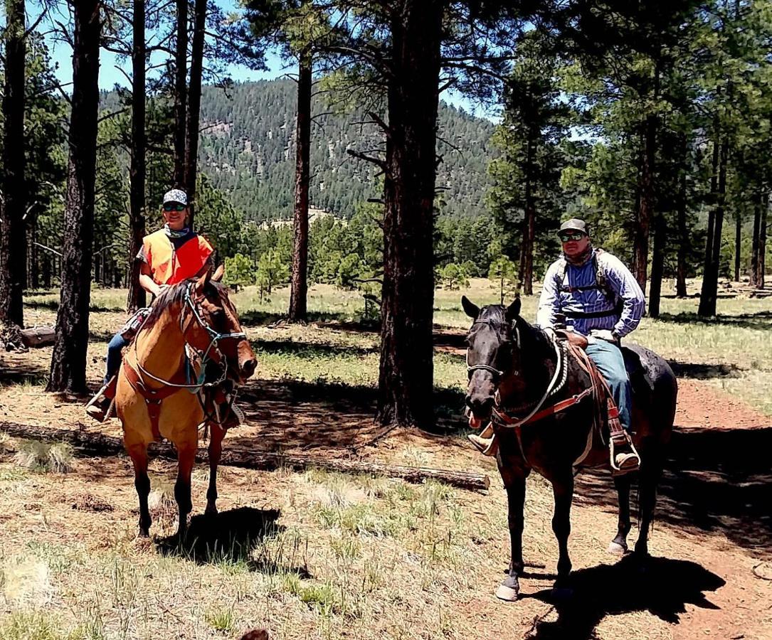 Parks Grand Canyon 1Bd Loft/Suite-Horseback Riding-Shooting-Dogs Ok! מראה חיצוני תמונה