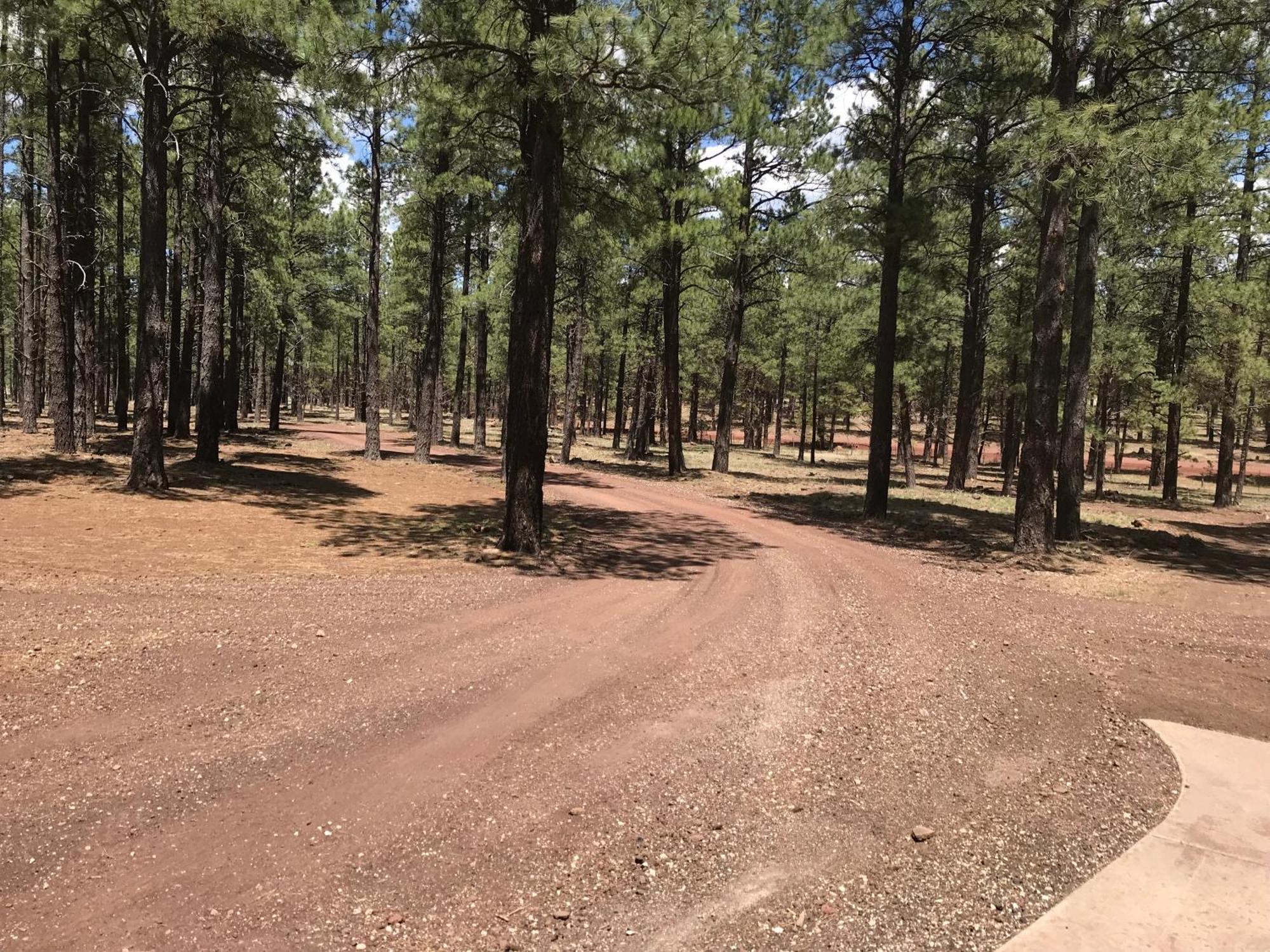 Parks Grand Canyon 1Bd Loft/Suite-Horseback Riding-Shooting-Dogs Ok! מראה חיצוני תמונה